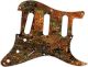 Rocky Vibe - Vintera '50s Strat