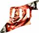 Rose 1