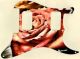 Rose 1
