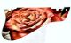 Rose 1
