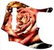 Rose 1