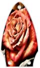 Rose 1