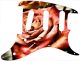 Rose 1