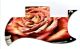 Rose 1