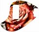 Rose 1