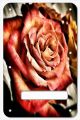 Rose 1