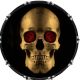 Rose Eye Skull
