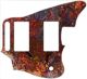 Rust Colors - Jaguar Blacktop