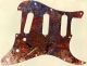 Rust Colors - Vintera '70s Strat
