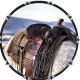 Saddled Up