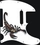 Scorpion - Vintera '60s Tele