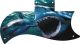 Shark Attack