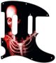 Skeletal