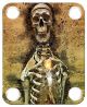 Skeleton 1