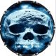 Skull Aged