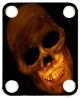 Skull Amber