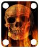 Skull & Flames 1