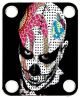 Skull Attitude