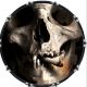 Skull Cigarette