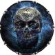 Skull Electric