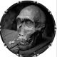 Skull Find