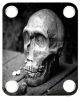 Skull Find