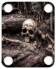 Skull Old