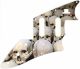 Skull Pile 1