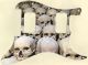 Skull Pile 1