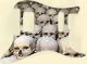 Skull Pile 1