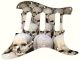 Skull Pile 1