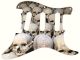 Skull Pile 1