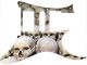 Skull Pile 1