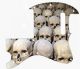 Skull Pile 1