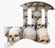 Skull Pile 1