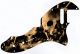 Skull Display
