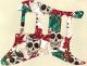 Skulls & Roses 2 - HSS Shawbucker Elite Strat