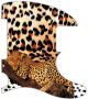 Sleeping Leopard