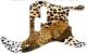 Sleeping Leopard