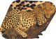 Sleeping Leopard