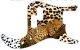Sleeping Leopard