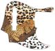 Sleeping Leopard