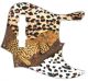 Sleeping Leopard
