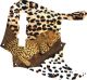 Sleeping Leopard