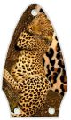 Sleeping Leopard