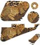 Sleeping Leopard