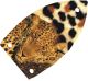 Sleeping Leopard