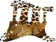 Sleeping Leopard - Vintera '50s Strat
