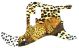 Sleeping Leopard