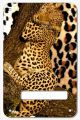Sleeping Leopard